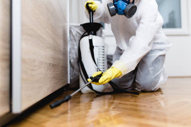 Best Wildlife Control Services  in Central City, IL