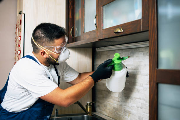 Best Pest Inspection Near Me  in Central City, IL