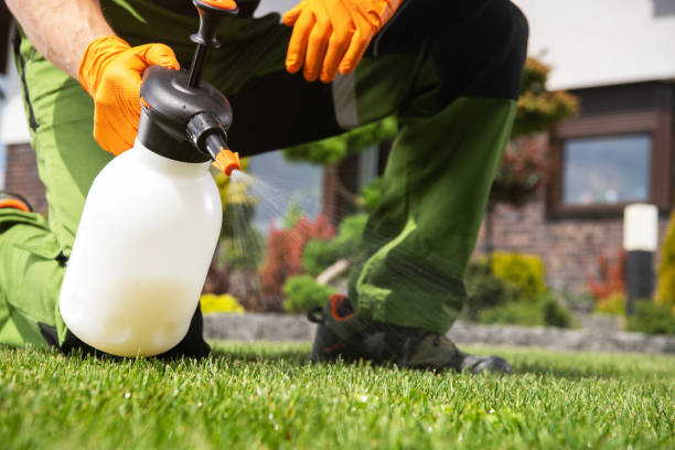 Insect Control in Central City, IL