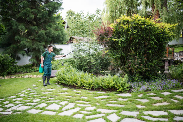 Best Wasp Removal Services  in Central City, IL