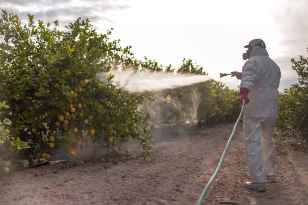 Best Pest Control for Restaurants  in Central City, IL