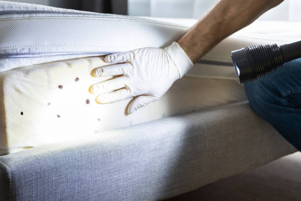 Best Emergency Pest Control  in Central City, IL