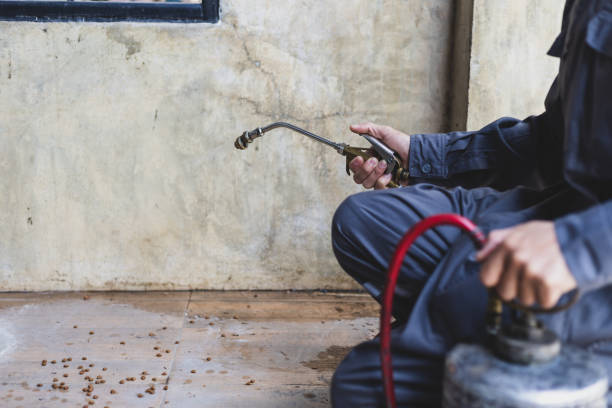 Best Mosquito Control Services  in Central City, IL